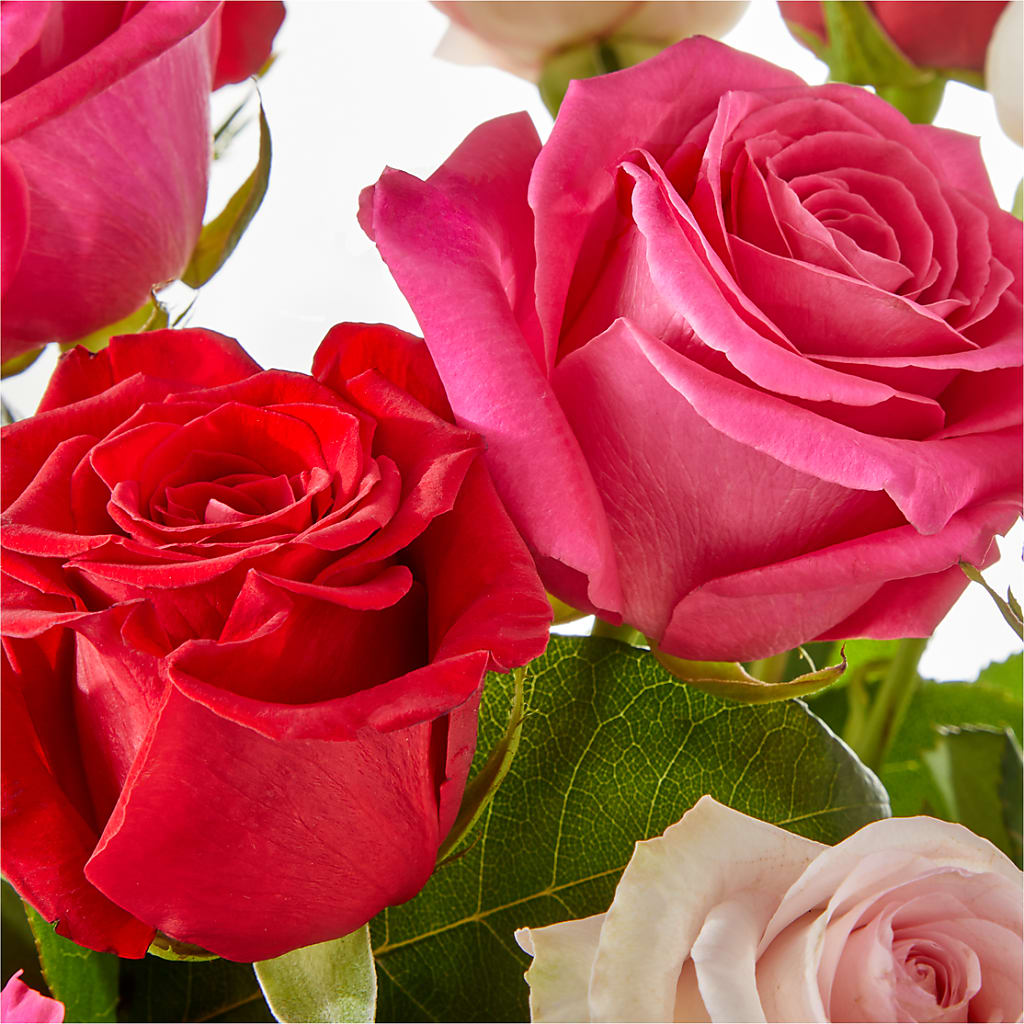Charming Rose Bouquet –  Dutch Floral, Edina MO