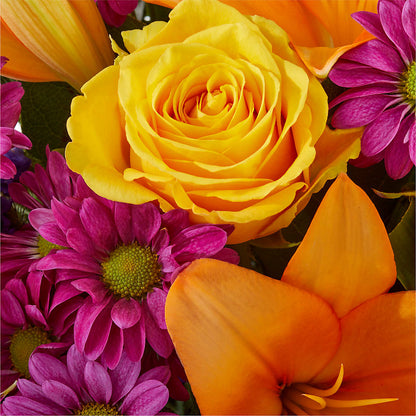 Colorful Visions Bouquet –  Dutch Floral, Edina MO