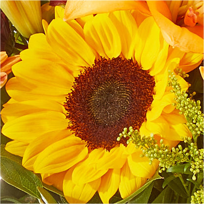 Seasons Change Bouquet –  Dutch Floral, Edina MO