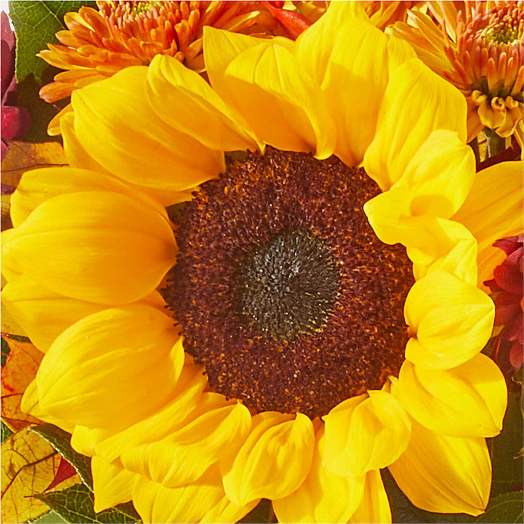 Sunny Side Bouquet –  Dutch Floral, Edina MO