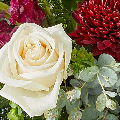 Cranberry Fizz Bouquet –  Dutch Floral, Edina MO