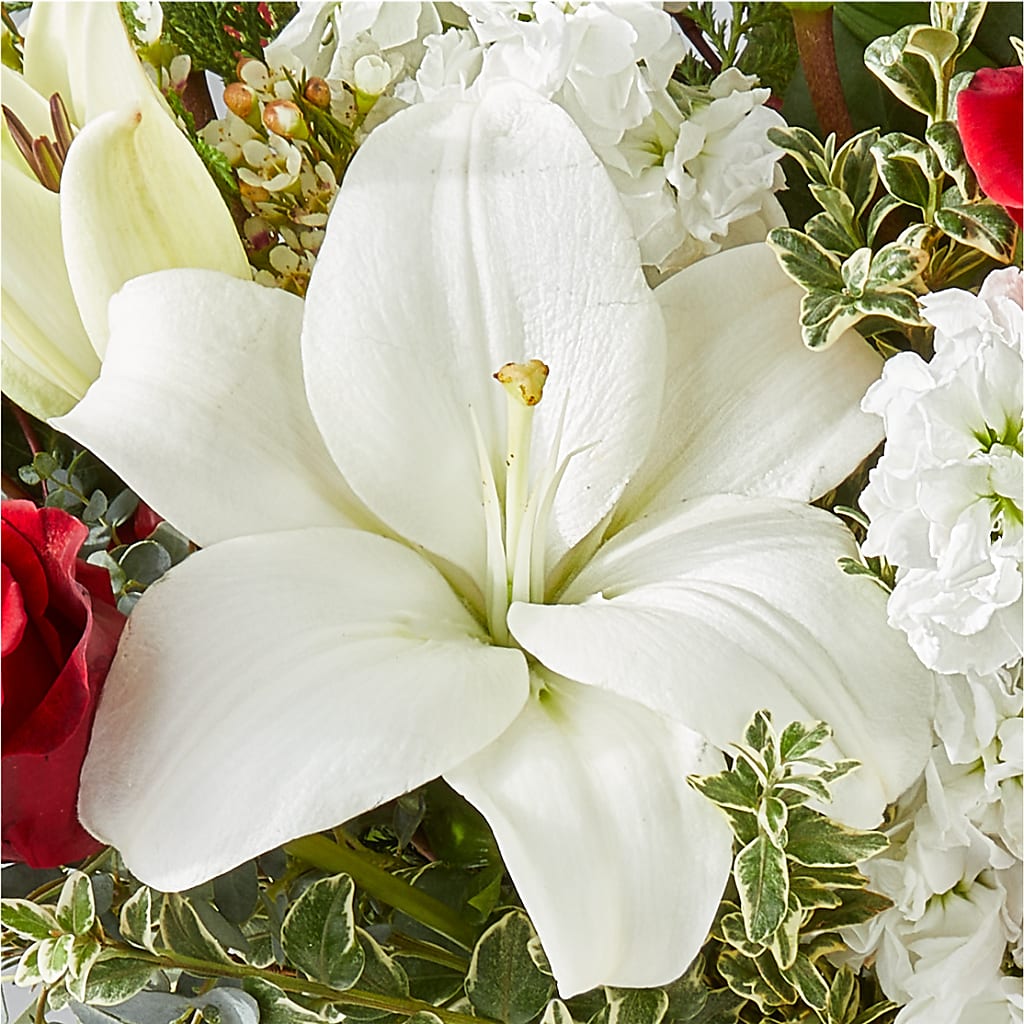 Twinkle Lights Bouquet –  Dutch Floral, Edina MO