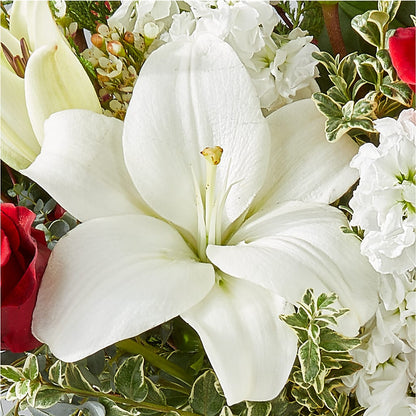 Twinkle Lights Bouquet –  Dutch Floral, Edina MO