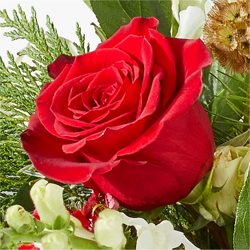 Deck the Halls Bouquet –  Dutch Floral, Edina MO
