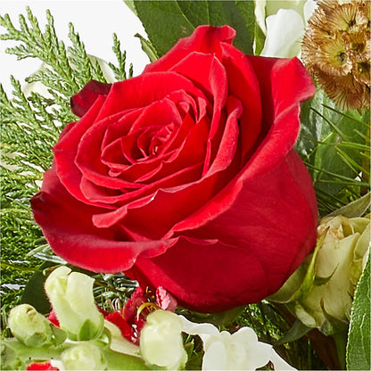 Deck the Halls Bouquet –  Dutch Floral, Edina MO