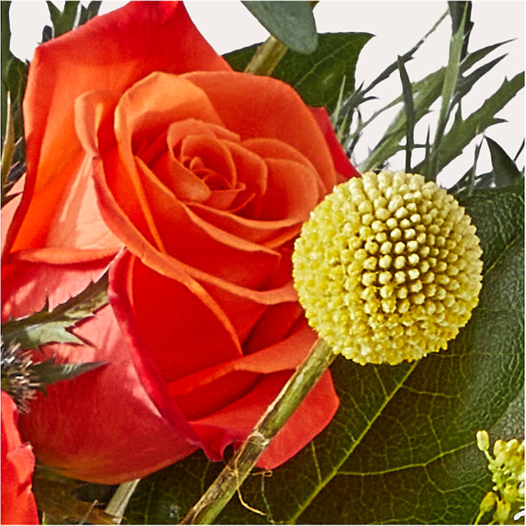 Disco Bouquet –  Dutch Floral, Edina MO