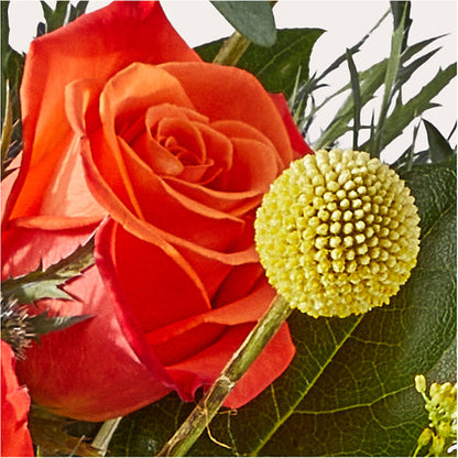 Disco Bouquet –  Dutch Floral, Edina MO