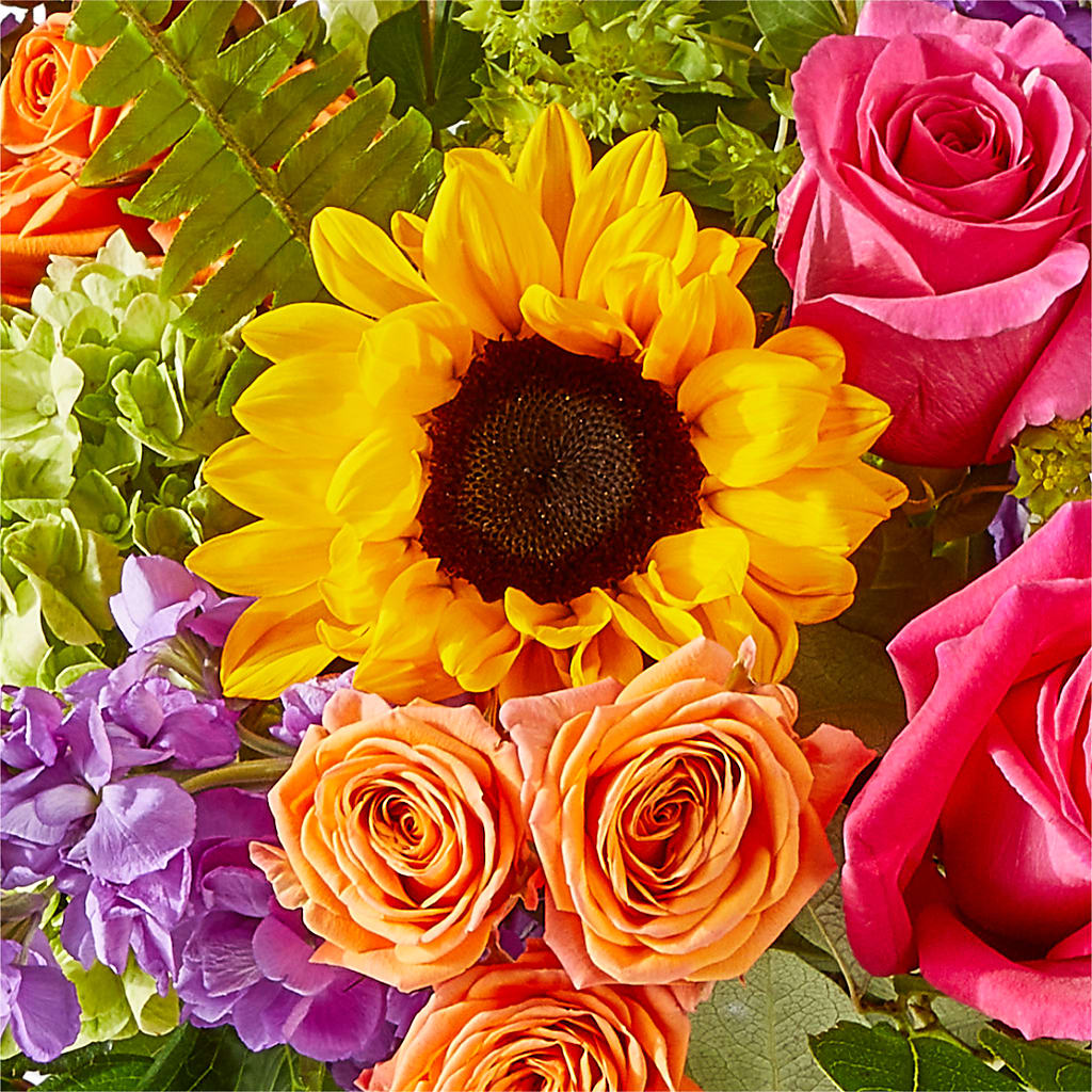 Vibrant Greetings Bouquet –  Dutch Floral, Edina MO