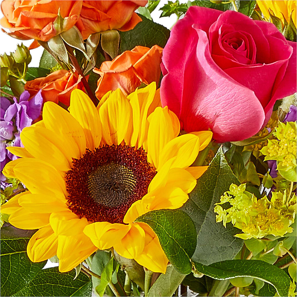Vibrant Greetings Bouquet –  Dutch Floral, Edina MO
