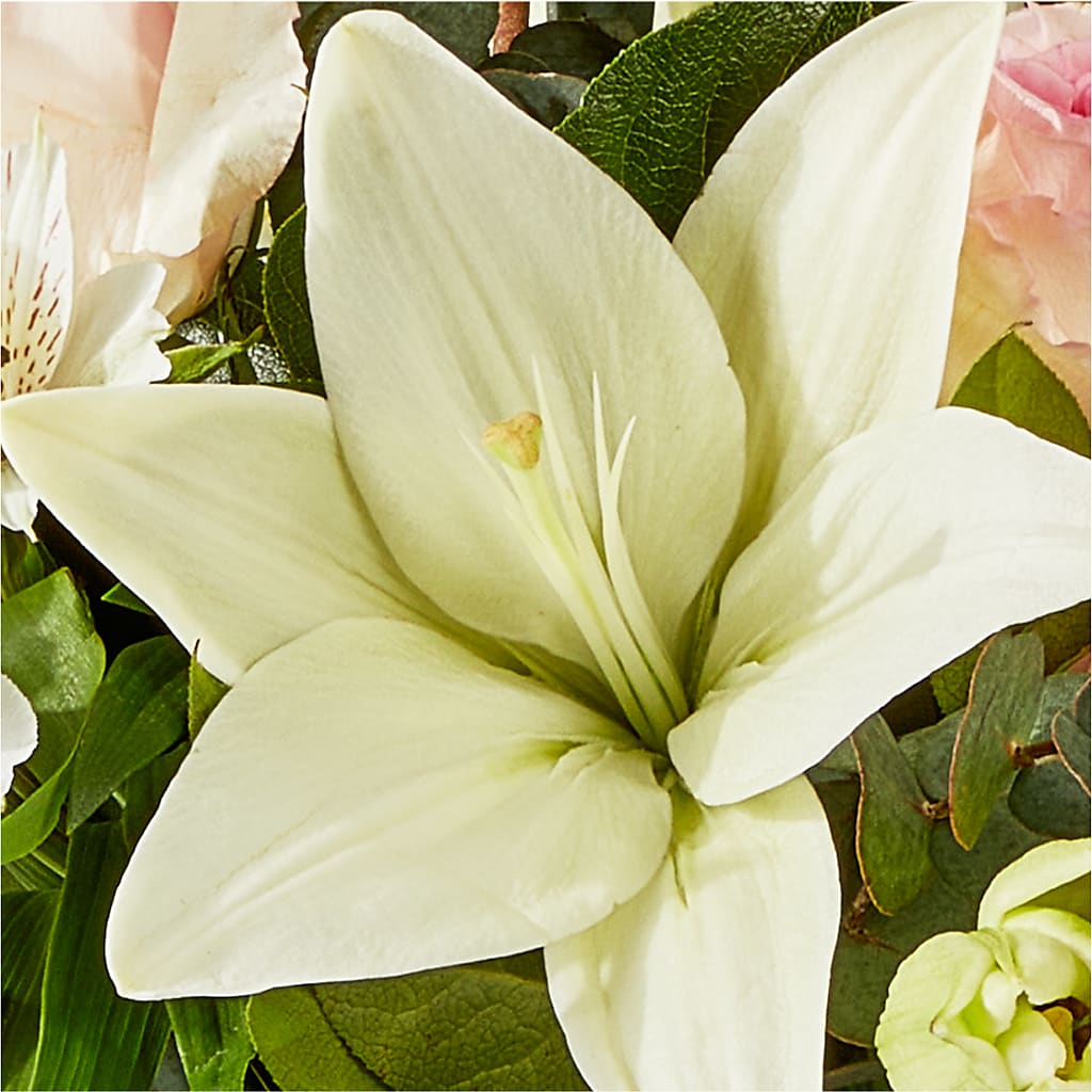 Ballet Slippers Bouquet –  Dutch Floral, Edina MO