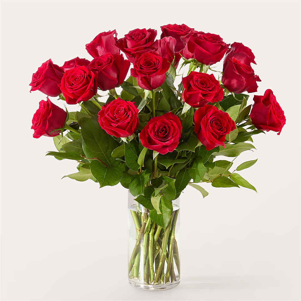 The One Red Rose Bouquet –  Dutch Floral, Edina MO