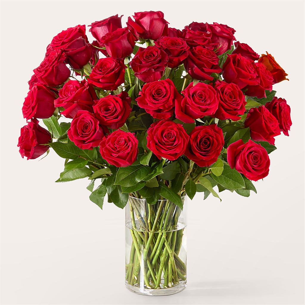 The One Red Rose Bouquet –  Dutch Floral, Edina MO