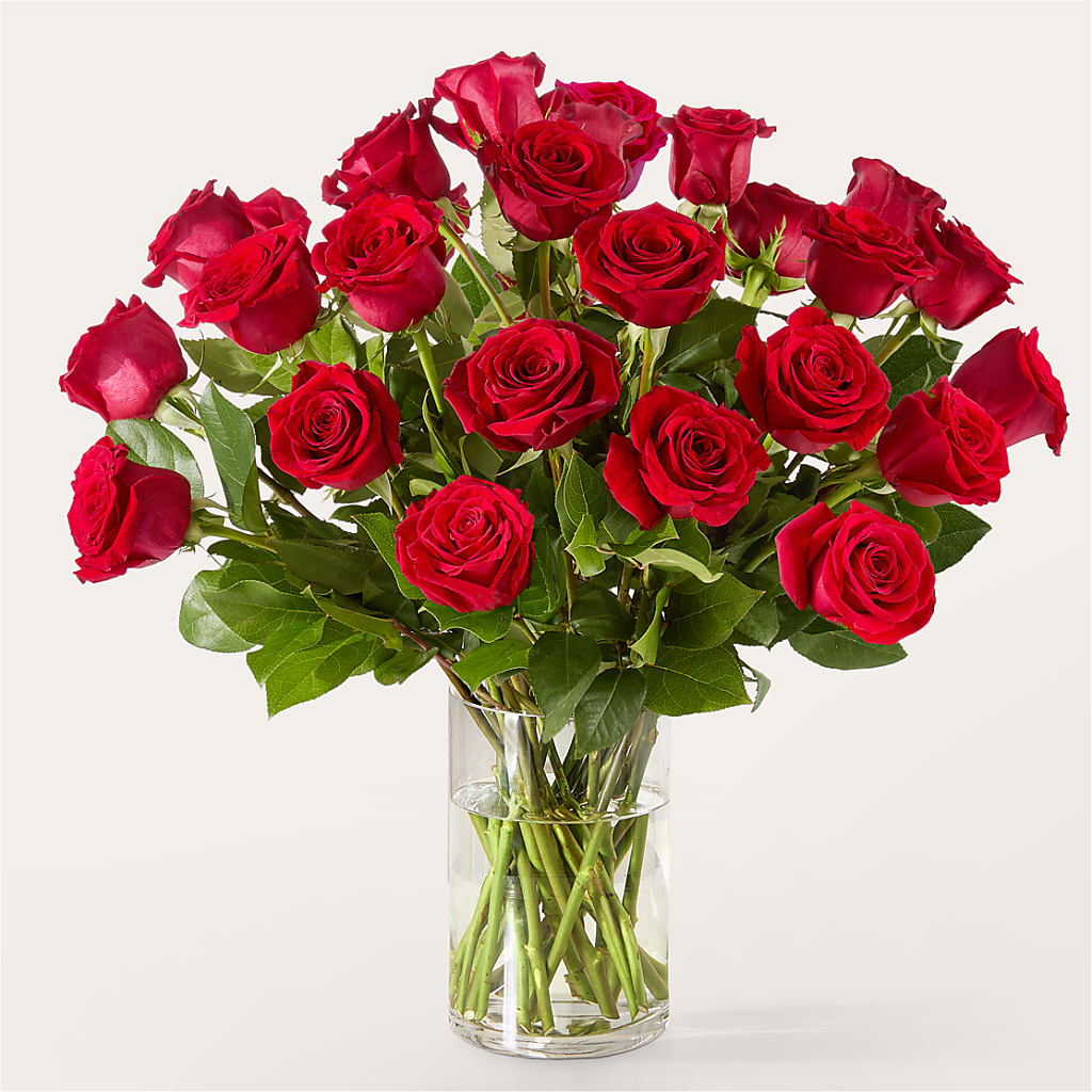 The One Red Rose Bouquet –  Dutch Floral, Edina MO