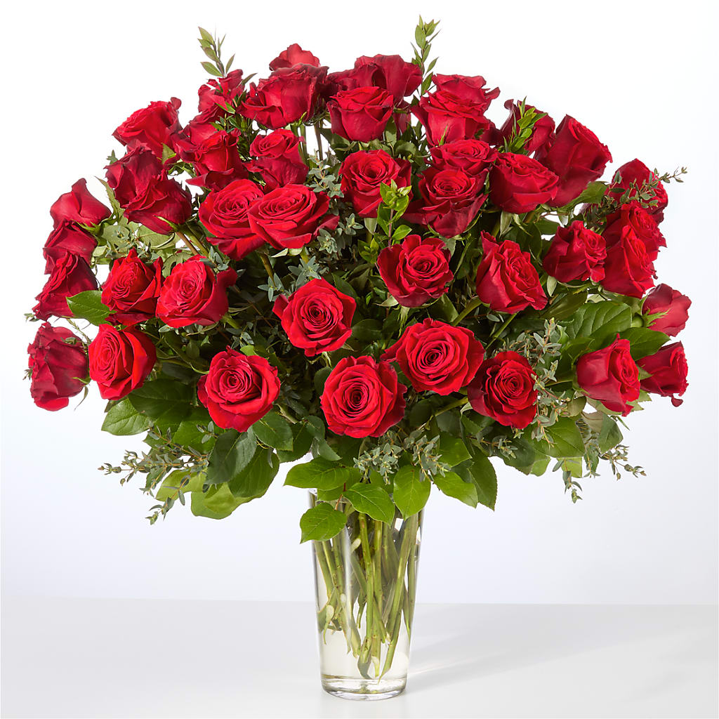 Forever Yours Fifty Stem Red Rose Bouquet –  Dutch Floral, Edina MO
