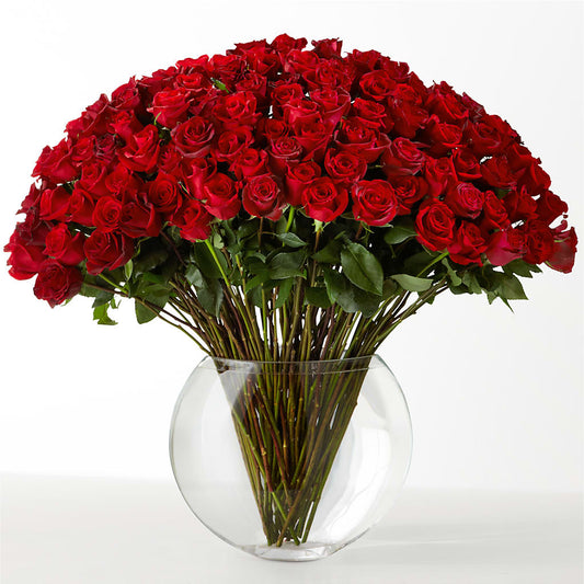 The Idealist –  Dutch Floral, Edina MO
