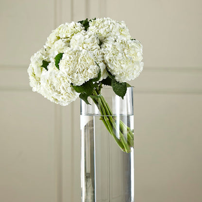 White Hydrangea Hand-Tied Bouquet –  Dutch Floral, Edina MO