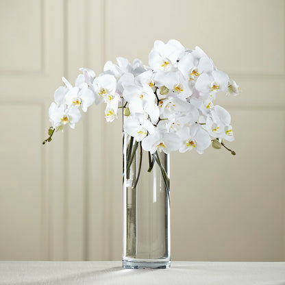 White Phalaenopsis Bouquet –  Dutch Floral, Edina MO