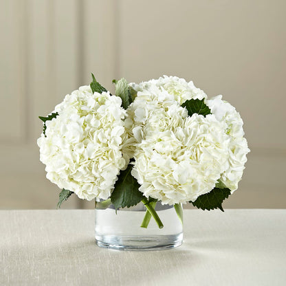 White Hydrangea Bouquet –  Dutch Floral, Edina MO
